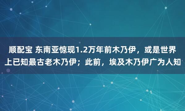 顺配宝 东南亚惊现1.2万年前木乃伊，或是世界上已知最古老木乃伊；此前，埃及木乃伊广为人知