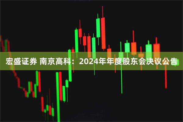 宏盛证券 南京高科：2024年年度股东会决议公告