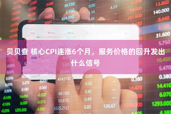 贝贝查 核心CPI连涨6个月，服务价格的回升发出什么信号